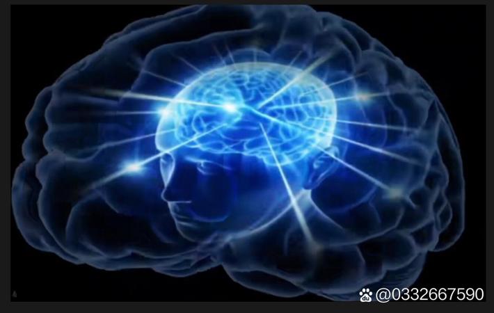 利物浦盯上哲凯赖什需激活1亿解约金，斯洛特首签瞄准葡超射手王？